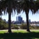 view from kings park into city