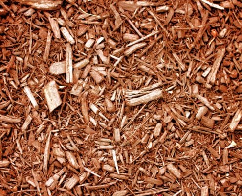 mulch